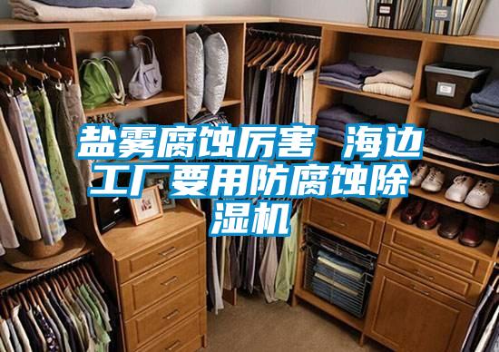盐雾腐蚀厉害 海边工厂要用防腐蚀草莓视频黄色在线观看机