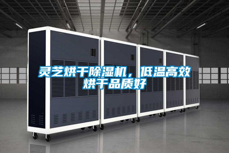 灵芝烘干草莓视频黄色在线观看机，低温高效烘干品质好