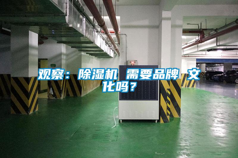 观察：草莓视频黄色在线观看机 需要品牌 文化吗？
