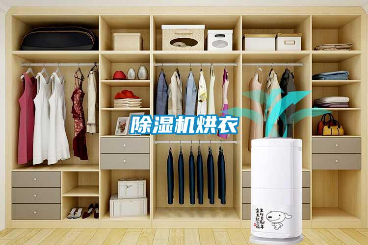 草莓视频黄色在线观看机烘衣
