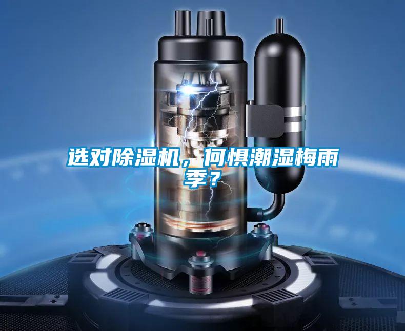 选对草莓视频黄色在线观看机，何惧潮湿梅雨季？