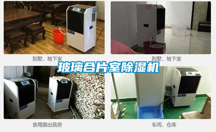 玻璃合片室草莓视频黄色在线观看机