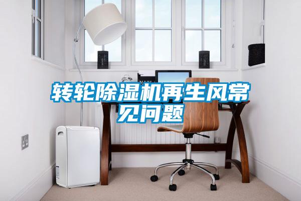 转轮草莓视频黄色在线观看机再生风常见问题