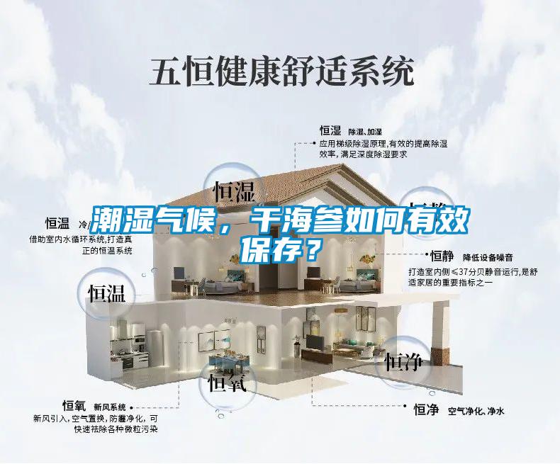 潮湿气候，干海参如何有效保存？