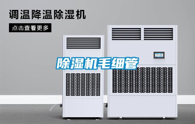 草莓视频黄色在线观看机毛细管