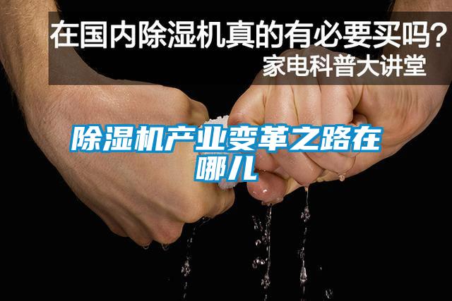 草莓视频黄色在线观看机产业变革之路在哪儿