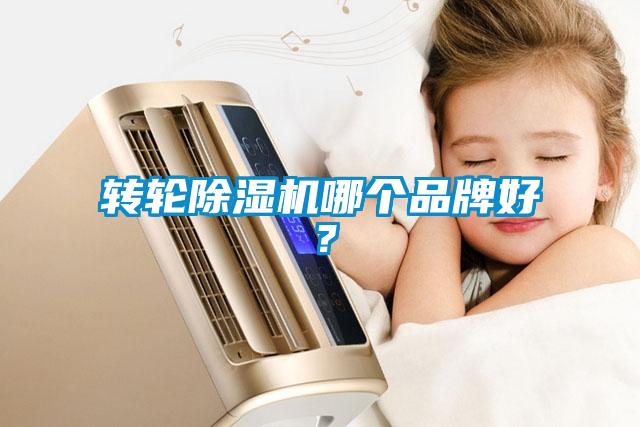 转轮草莓视频黄色在线观看机哪个品牌好？