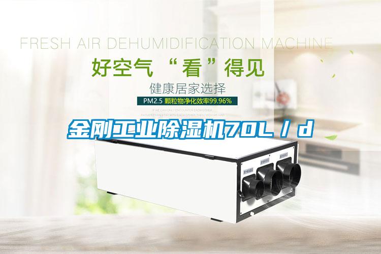 金刚工业草莓视频黄色在线观看机70L／d