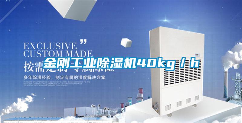 金刚工业草莓视频黄色在线观看机40kg／h