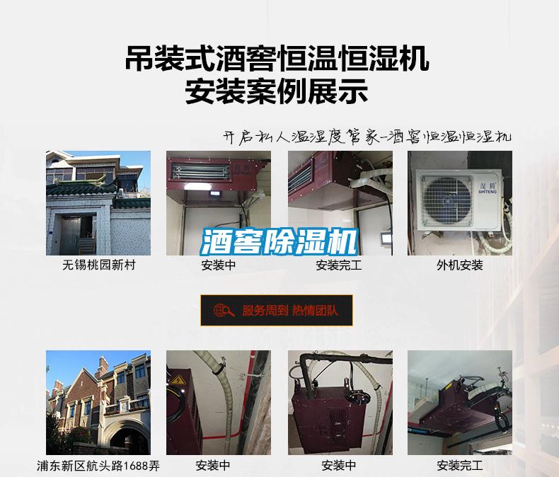 酒窖草莓视频黄色在线观看机