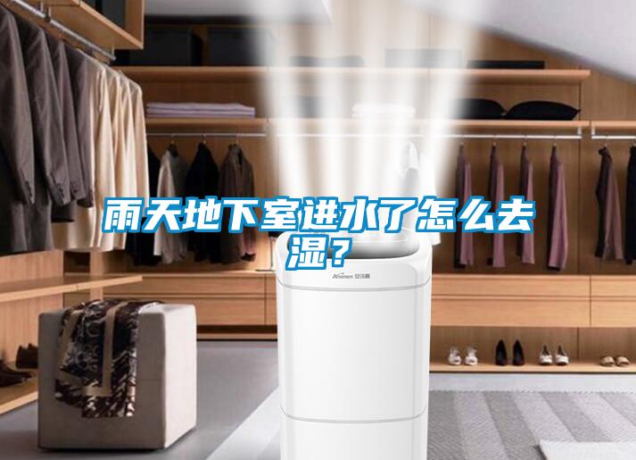 雨天地下室进水了怎么去湿？