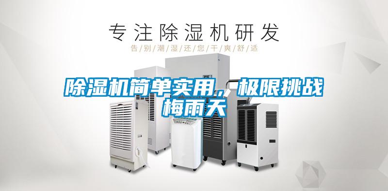 草莓视频黄色在线观看机简单实用，极限挑战梅雨天