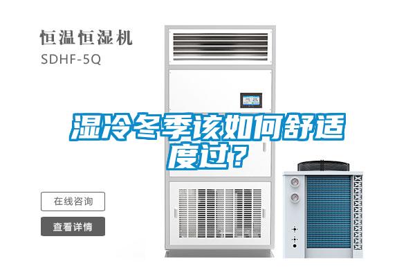 湿冷冬季该如何舒适度过？