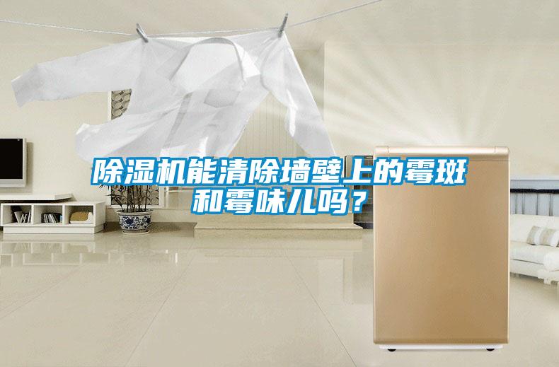 草莓视频黄色在线观看机能清除墙壁上的霉斑和霉味儿吗？