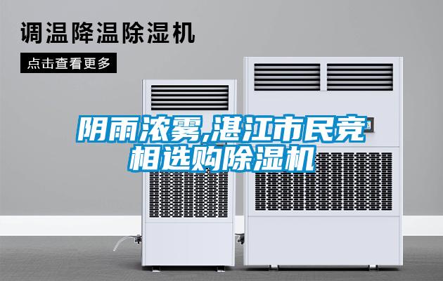 阴雨浓雾,湛江市民竞相选购草莓视频黄色在线观看机