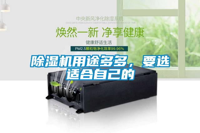 草莓视频黄色在线观看机用途多多，要选适合自己的