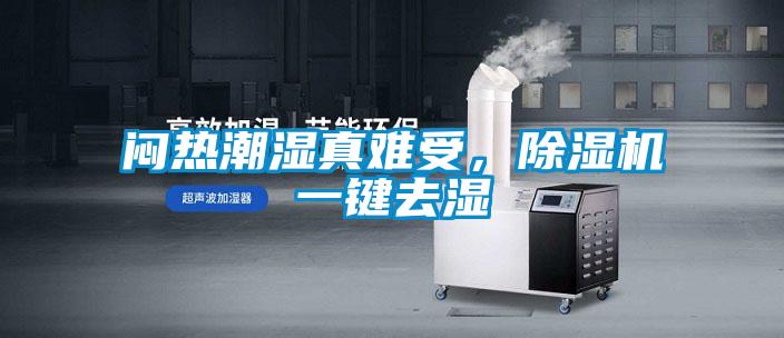 闷热潮湿真难受，草莓视频黄色在线观看机一键去湿