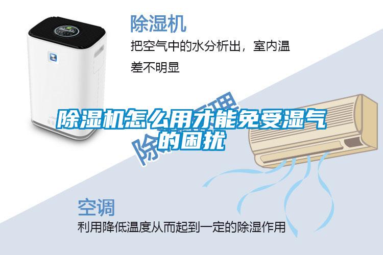 草莓视频黄色在线观看机怎么用才能免受湿气的困扰
