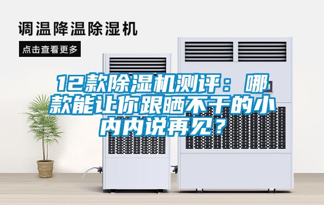 12款草莓视频黄色在线观看机测评：哪款能让你跟晒不干的小内内说再见？