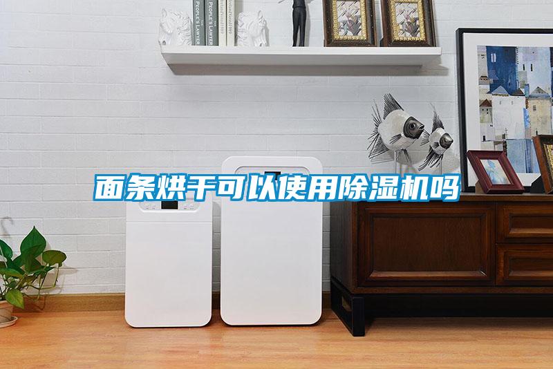 面条烘干可以使用草莓视频黄色在线观看机吗