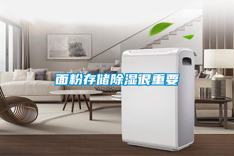 面粉存储草莓视频黄色在线观看很重要