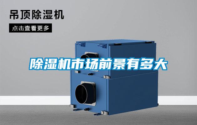 草莓视频黄色在线观看机市场前景有多大