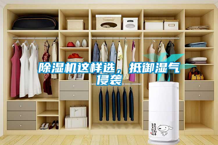 草莓视频黄色在线观看机这样选，抵御湿气侵袭