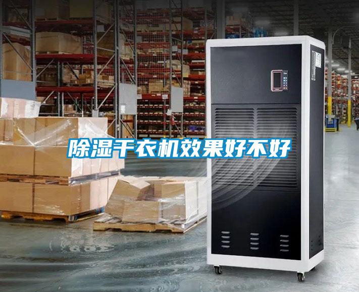 草莓视频黄色在线观看干衣机效果好不好