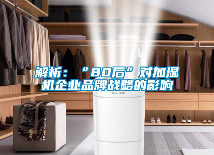 解析：“80后”对加湿机企业品牌战略的影响