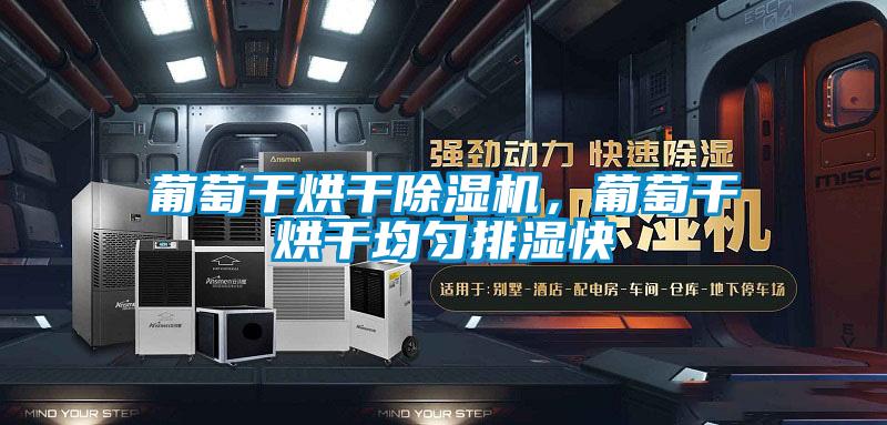 葡萄干烘干草莓视频黄色在线观看机，葡萄干烘干均匀排湿快
