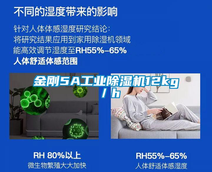 金刚5A工业草莓视频黄色在线观看机12kg／h