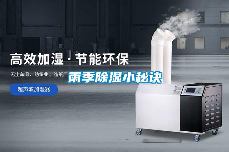 雨季草莓视频黄色在线观看小秘诀