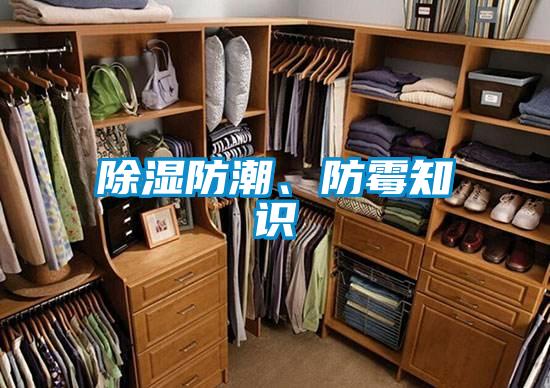 草莓视频黄色在线观看防潮、防霉知识