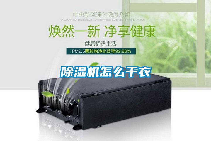草莓视频黄色在线观看机怎么干衣