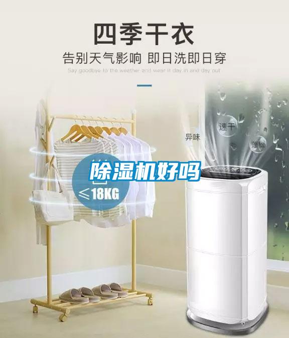 草莓视频黄色在线观看机好吗