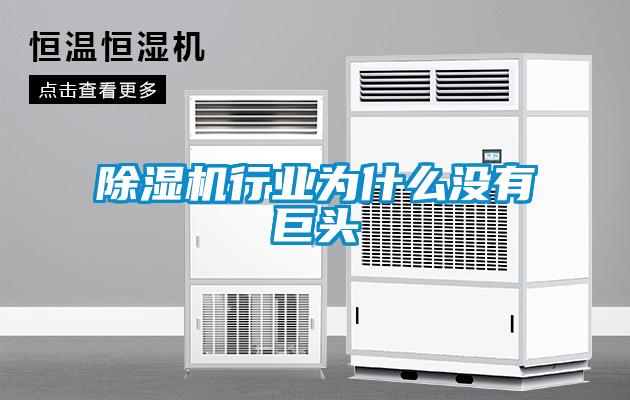 草莓视频黄色在线观看机行业为什么没有巨头