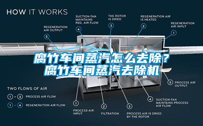 腐竹车间蒸汽怎么去除？腐竹车间蒸汽去除机