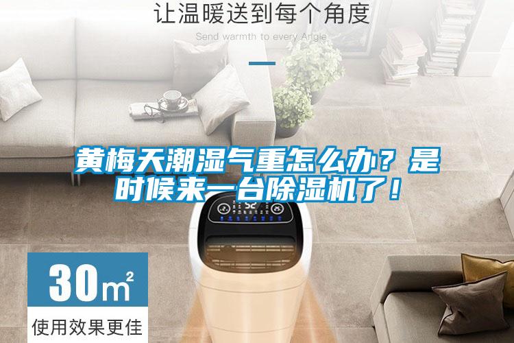 黄梅天潮湿气重怎么办？是时候来一台草莓视频黄色在线观看机了！