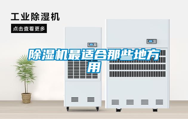草莓视频黄色在线观看机最适合那些地方用