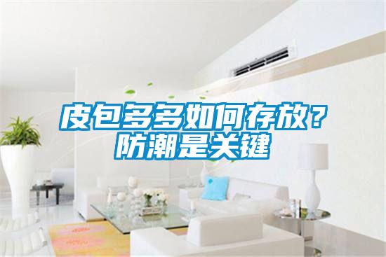 皮包多多如何存放？防潮是关键