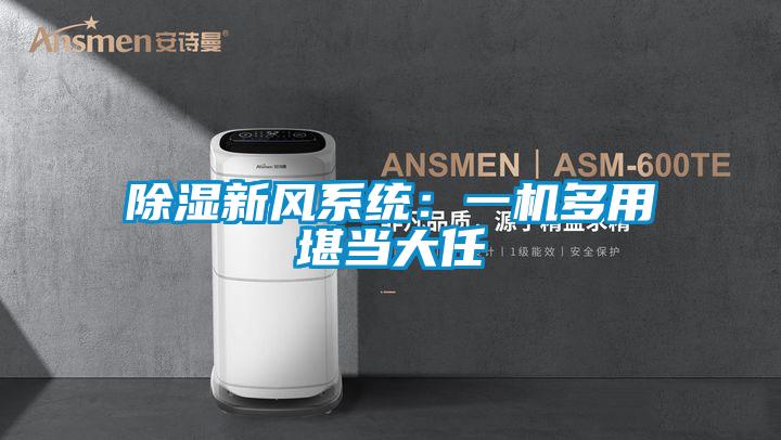 草莓视频黄色在线观看新风系统：一机多用堪当大任