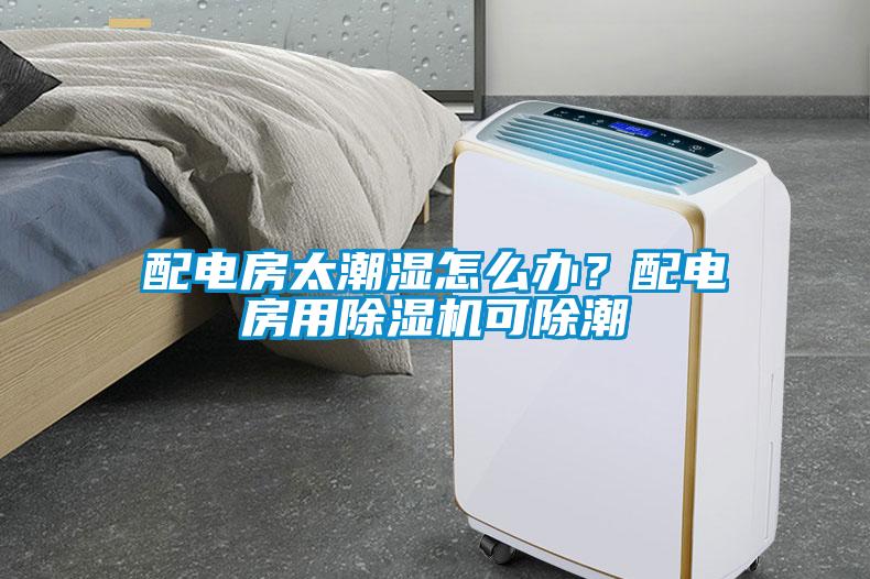 配电房太潮湿怎么办？配电房用草莓视频黄色在线观看机可除潮