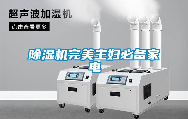 草莓视频黄色在线观看机完美主妇必备家电