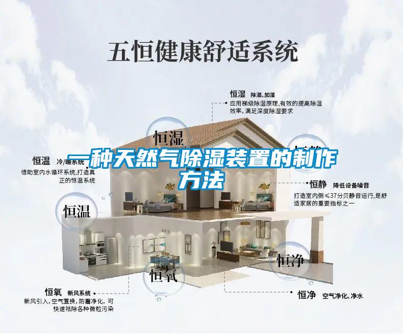 一种天然气草莓视频黄色在线观看装置的制作方法