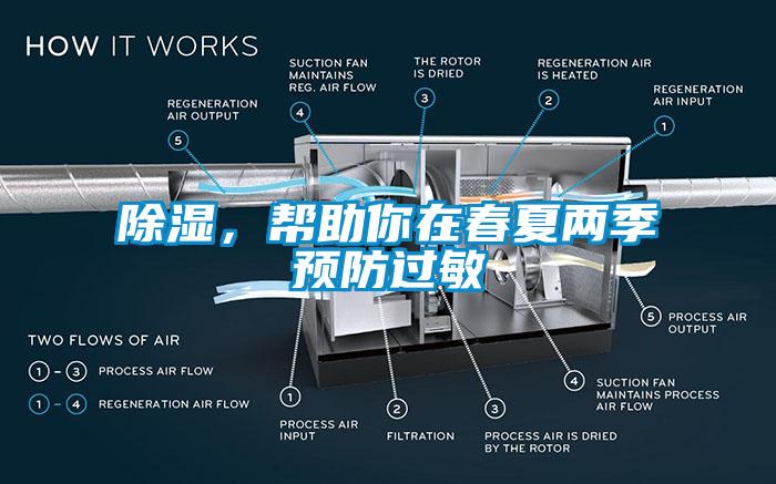 草莓视频黄色在线观看，帮助你在春夏两季预防过敏