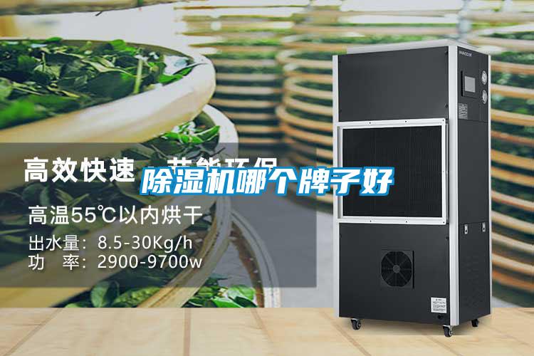 草莓视频黄色在线观看机哪个牌子好