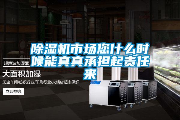 草莓视频黄色在线观看机市场您什么时候能真真承担起责任来