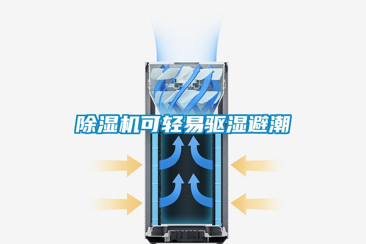 草莓视频黄色在线观看机可轻易驱湿避潮
