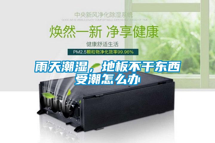 雨天潮湿，地板不干东西受潮怎么办