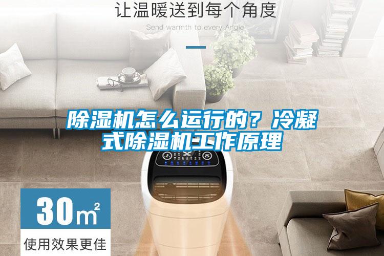 草莓视频黄色在线观看机怎么运行的？冷凝式草莓视频黄色在线观看机工作原理